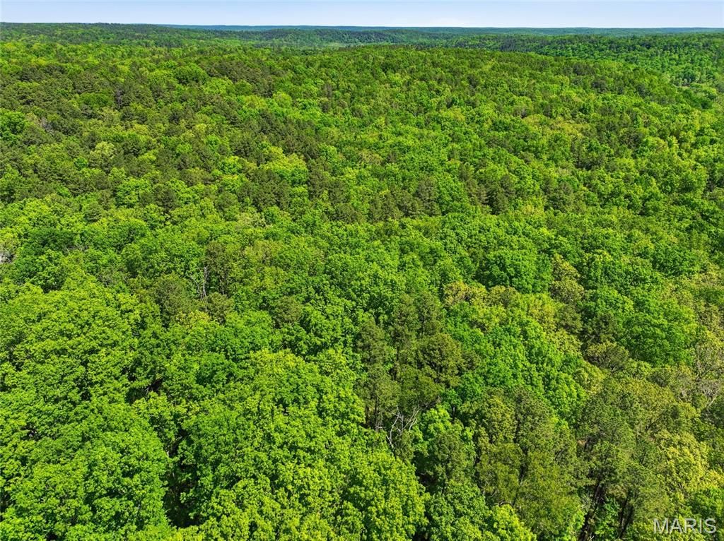 Photo of 15601 Boiling Springs Rd, Licking, MO 65542 (MLS # 26029147)