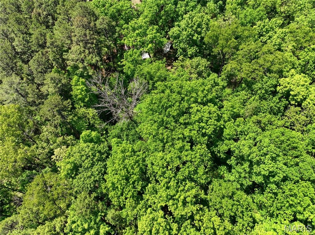 Photo of 15601 Boiling Springs Rd, Licking, MO 65542 (MLS # 26029147)