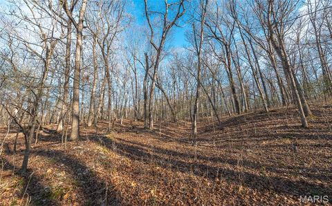 Tiny photo for 83 Minx Valley Drive, Roach, MO 64781 (MLS # 26024451)