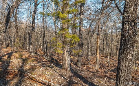 Tiny photo for 83 Minx Valley Drive, Roach, MO 64781 (MLS # 26024451)
