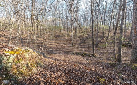 Tiny photo for 83 Minx Valley Drive, Roach, MO 64781 (MLS # 26024451)