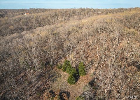 Tiny photo for 83 Minx Valley Drive, Roach, MO 64781 (MLS # 26024451)
