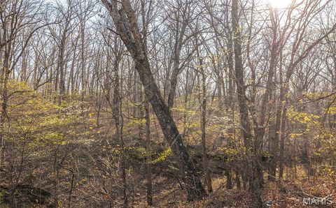 Tiny photo for 83 Minx Valley Drive, Roach, MO 64781 (MLS # 26024451)