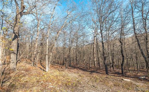 Tiny photo for 83 Minx Valley Drive, Roach, MO 64781 (MLS # 26024451)