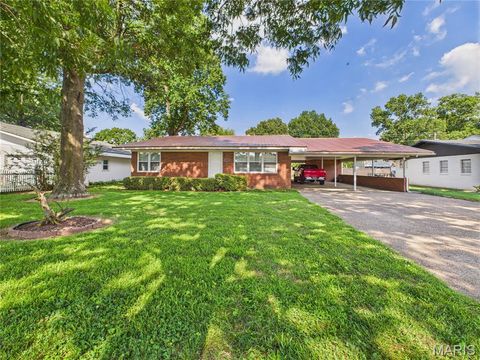 Photo of 706 Smith Street, Malden, MO 63863 (MLS # 25079962)