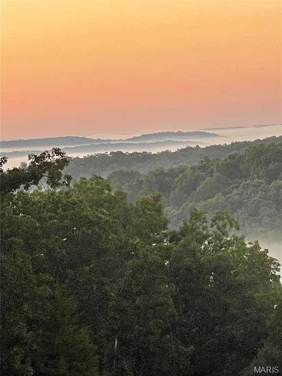 Photo of 266 Grand Oaks Estates, Sullivan, MO 63080 (MLS # 26056139)