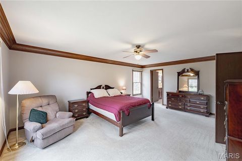 Tiny photo for 14065 Boxford Court, Chesterfield, MO 63017 (MLS # 25081347)