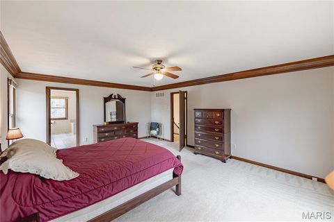 Tiny photo for 14065 Boxford Court, Chesterfield, MO 63017 (MLS # 25081347)
