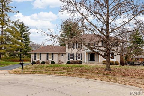 Tiny photo for 14065 Boxford Court, Chesterfield, MO 63017 (MLS # 25081347)