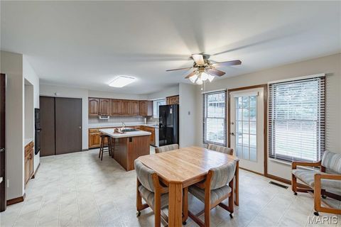 Tiny photo for 14065 Boxford Court, Chesterfield, MO 63017 (MLS # 25081347)