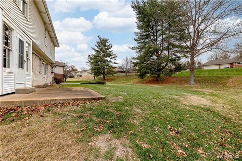 Tiny photo for 14065 Boxford Court, Chesterfield, MO 63017 (MLS # 25081347)