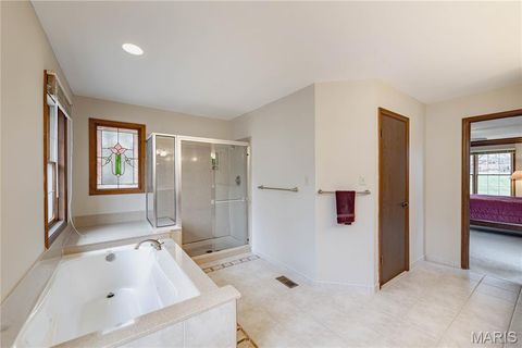 Tiny photo for 14065 Boxford Court, Chesterfield, MO 63017 (MLS # 25081347)