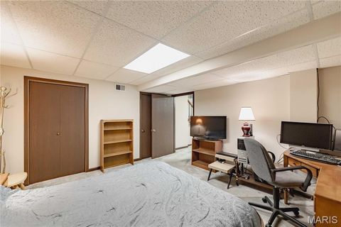 Tiny photo for 14065 Boxford Court, Chesterfield, MO 63017 (MLS # 25081347)