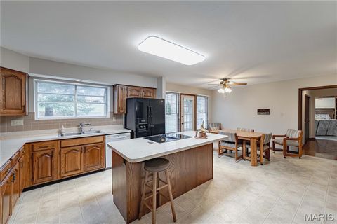 Tiny photo for 14065 Boxford Court, Chesterfield, MO 63017 (MLS # 25081347)