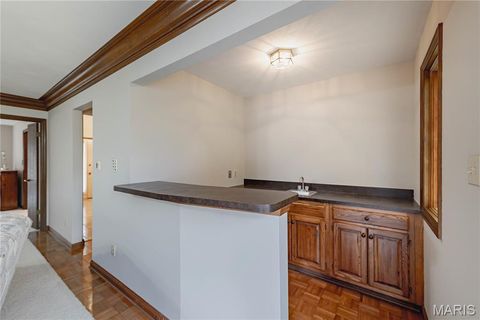 Tiny photo for 14065 Boxford Court, Chesterfield, MO 63017 (MLS # 25081347)