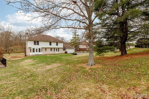 Tiny photo for 14065 Boxford Court, Chesterfield, MO 63017 (MLS # 25081347)