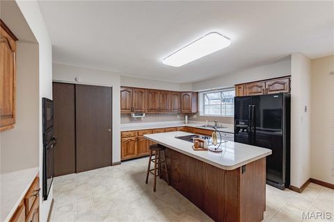 Tiny photo for 14065 Boxford Court, Chesterfield, MO 63017 (MLS # 25081347)