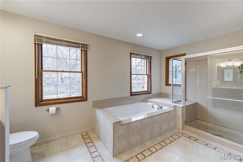 Tiny photo for 14065 Boxford Court, Chesterfield, MO 63017 (MLS # 25081347)