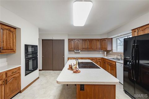 Tiny photo for 14065 Boxford Court, Chesterfield, MO 63017 (MLS # 25081347)