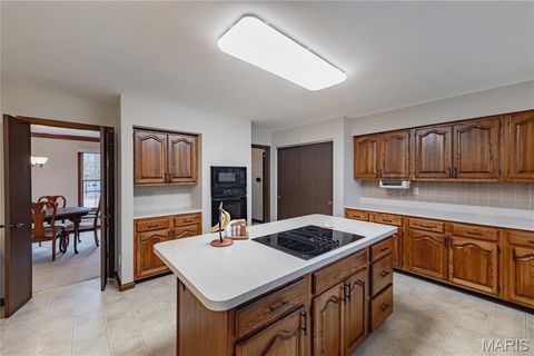 Tiny photo for 14065 Boxford Court, Chesterfield, MO 63017 (MLS # 25081347)