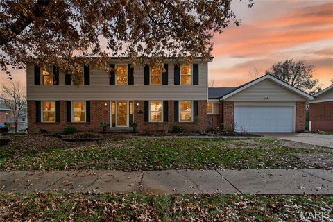 Photo of 290 Kinderhook Drive, Chesterfield, MO 63017 (MLS # 25075601)