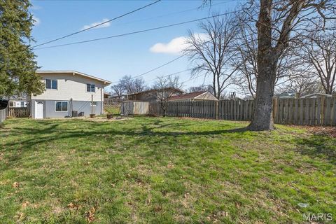 Tiny photo for 408 Saint Lawrence Drive, Ballwin, MO 63021 (MLS # 26015858)