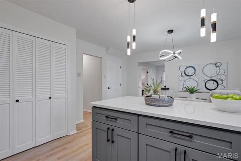 Tiny photo for 618 Shady Meadows Drive, Ballwin, MO 63011 (MLS # 25082918)