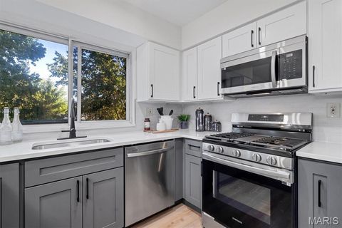 Tiny photo for 618 Shady Meadows Drive, Ballwin, MO 63011 (MLS # 25082918)