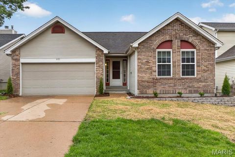 Photo of 409 Hunters Crossing Court, Wildwood, MO 63040 (MLS # 26027504)