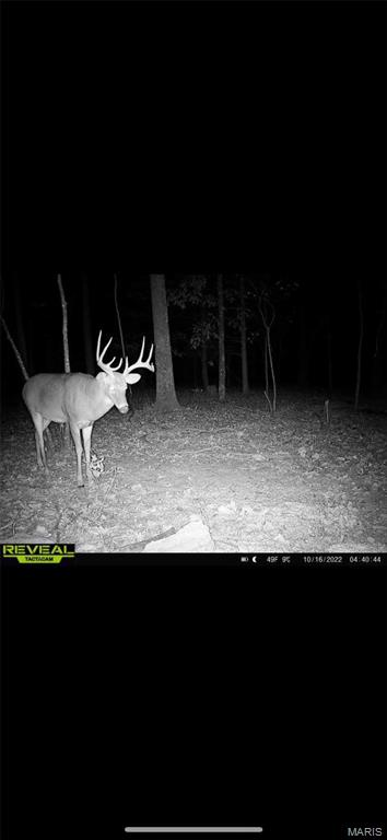 Pinnacle Lake Estates - Farm