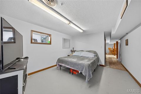 Tiny photo for 511 McWard Court 1, Bowling Green, MO 63334 (MLS # 25067462)