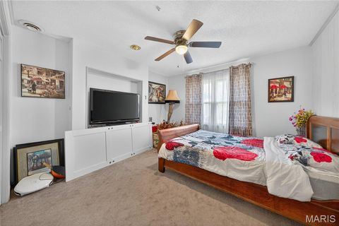 Tiny photo for 511 McWard Court 1, Bowling Green, MO 63334 (MLS # 25067462)