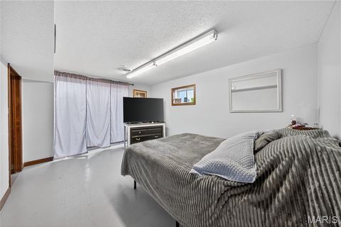 Tiny photo for 511 McWard Court 1, Bowling Green, MO 63334 (MLS # 25067462)