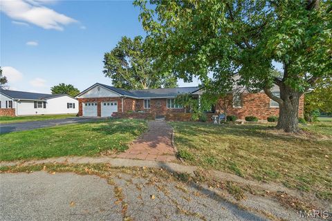 Tiny photo for 511 McWard Court 1, Bowling Green, MO 63334 (MLS # 25067462)