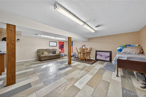 Tiny photo for 511 McWard Court 1, Bowling Green, MO 63334 (MLS # 25067462)