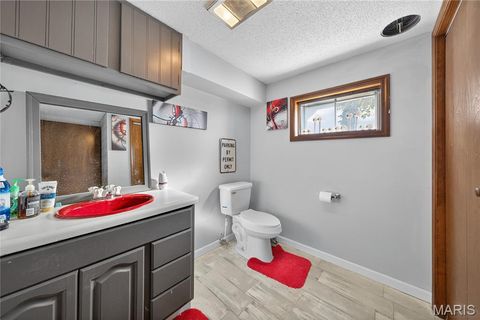 Tiny photo for 511 McWard Court 1, Bowling Green, MO 63334 (MLS # 25067462)