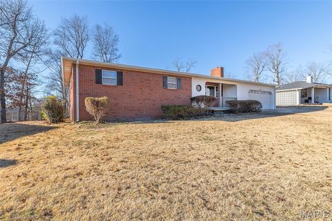 Photo of 2007 Schweitzer Drive, Poplar Bluff, MO 63901 (MLS # 25082251)