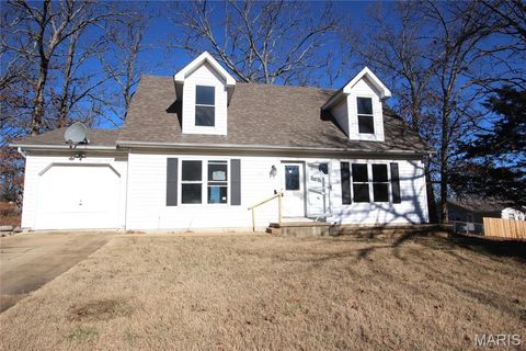 Photo of 3984 Zell Circle, De Soto, MO 63020 (MLS # 25081991)