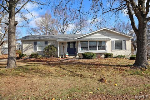 Photo of 16 Atwater Drive, St Peters, MO 63376 (MLS # 25078163)