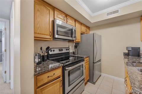 Tiny photo for 425 S Geyer Road #G, Kirkwood, MO 63122 (MLS # 25080370)