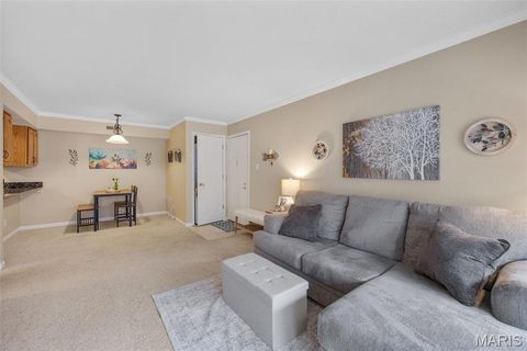 Tiny photo for 425 S Geyer Road #G, Kirkwood, MO 63122 (MLS # 25080370)