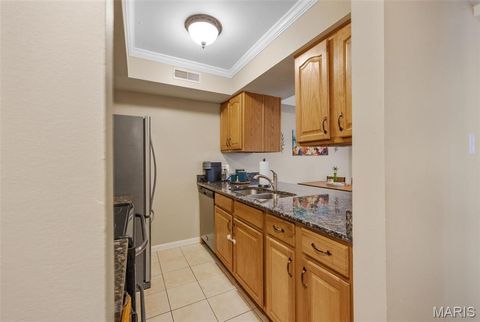 Tiny photo for 425 S Geyer Road #G, Kirkwood, MO 63122 (MLS # 25080370)