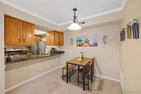 Tiny photo for 425 S Geyer Road #G, Kirkwood, MO 63122 (MLS # 25080370)