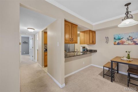 Tiny photo for 425 S Geyer Road #G, Kirkwood, MO 63122 (MLS # 25080370)