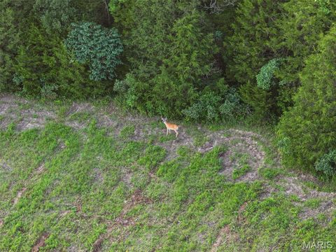 Tiny photo for 0 Tract 2 Highland Fling Rd, Sullivan, MO 63080 (MLS # 26030757)
