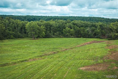 Tiny photo for 0 Tract 2 Highland Fling Rd, Sullivan, MO 63080 (MLS # 26030757)