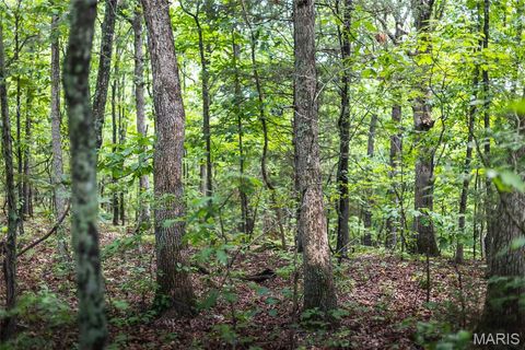 Tiny photo for 0 Tract 2 Highland Fling Rd, Sullivan, MO 63080 (MLS # 26030757)