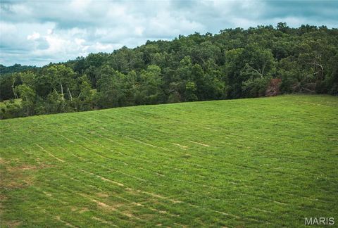 Tiny photo for 0 Tract 2 Highland Fling Rd, Sullivan, MO 63080 (MLS # 26030757)