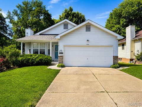 Photo of 11036 Bernice Avenue, St Ann, MO 63074 (MLS # 26020155)