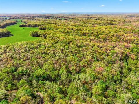Tiny photo for 104 Tree Farm Road, New Florence, MO 63363 (MLS # 26024593)